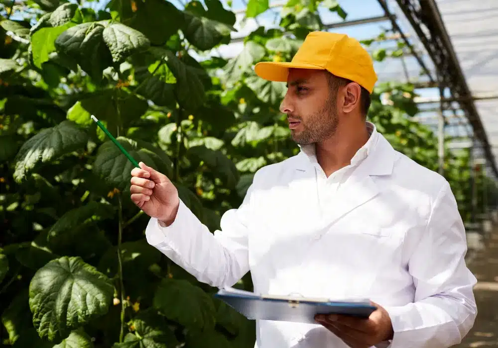 Partenaire de Spart Agro grossiste en fruit et légume