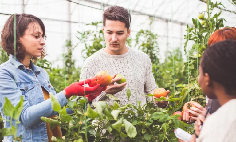 Producteur de spart Agro