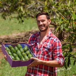 Fruitwiz