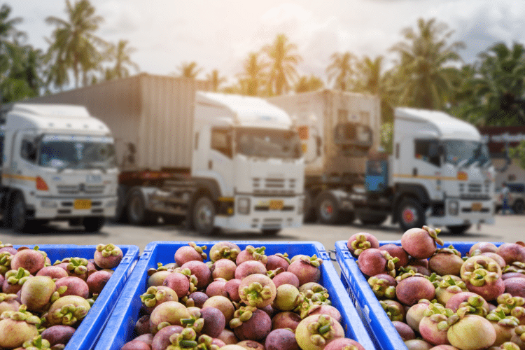 Image d'un partenaire de Spart Agro